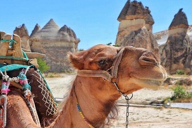3-Day Cappadocia Tour with Camel Ride & Optional Balloon Ride - Key points at a glance