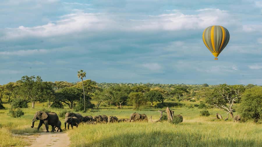 3-Day Safari to Serengeti & Ngorongoro + Balloon experience - Practical booking advice before you pay