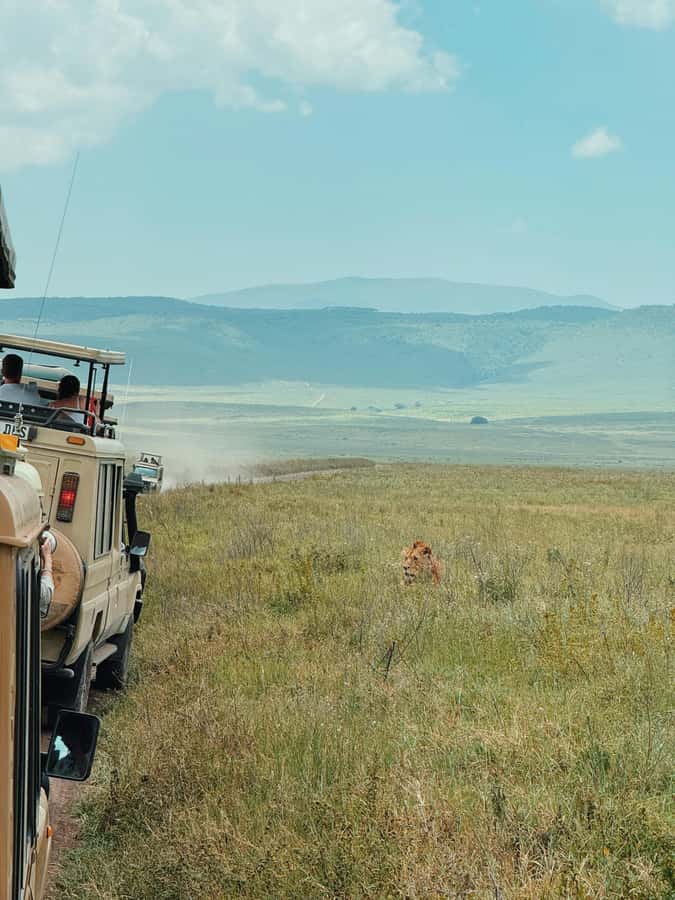 3-Day Safari to Serengeti & Ngorongoro + Balloon experience - Two parks, one short Tanzanian safari