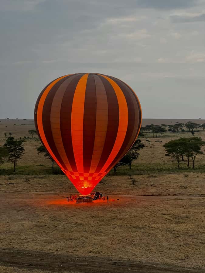 3-Day Safari to Serengeti & Ngorongoro + Balloon experience - The balloon morning: Serengeti from above