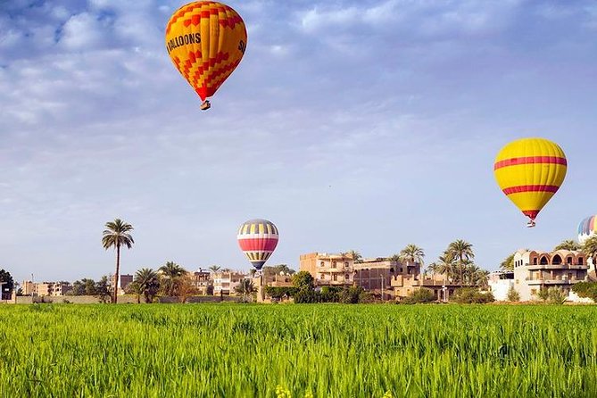 3 Nights Cruise Aswan to Luxor including Abu Simbel, Nubian Village&Air Balloon - The guide can make or break the temples