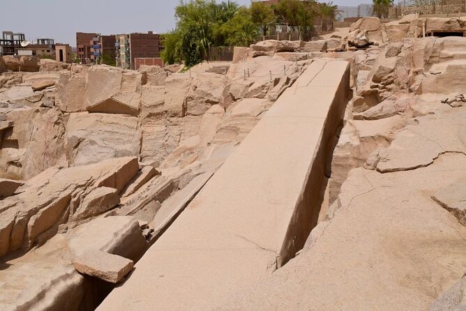 3 nights Nile Cruise with Hot air Balloon From Aswan - Day two: the long road to Abu Simbel and Kom Ombo after dark