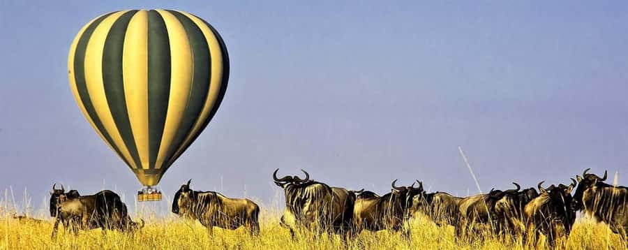 3Days Masai Mara Safari with Hot Air Balloon Ride Experience - Why the balloon flight changes the Masai Mara experience