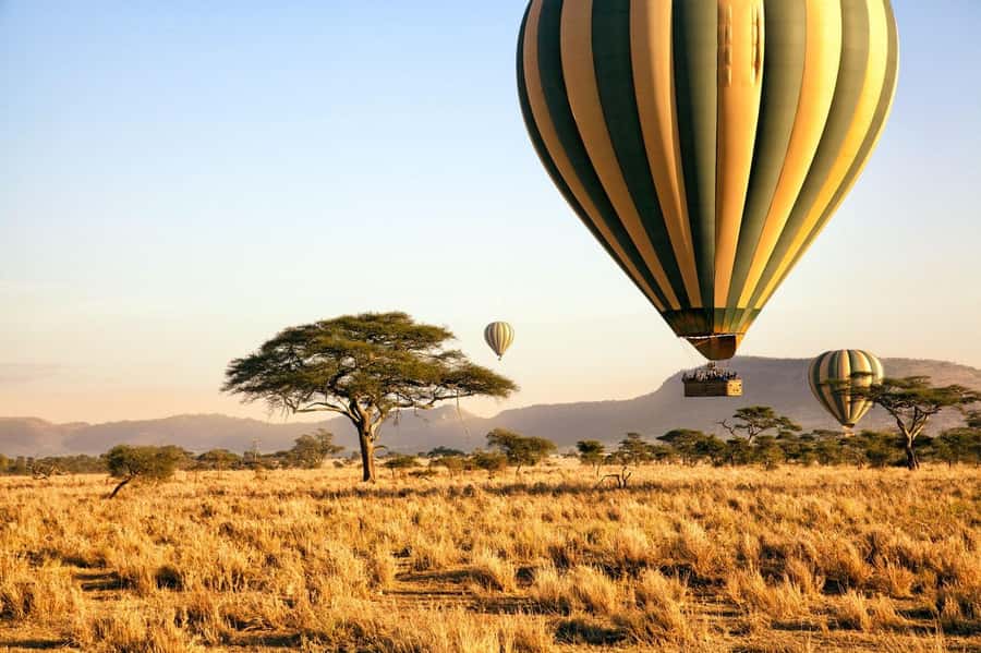 3Days Masai Mara Safari with Hot Air Balloon Ride Experience - Is $1,925 per person good value?