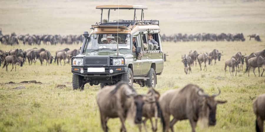 3Days Masai Mara Safari with Hot Air Balloon Ride Experience - Should you book it?
