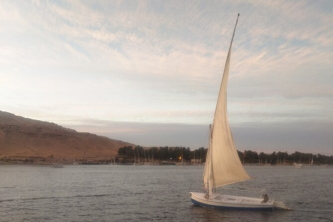4 Days Nile Cruise, Aswan to Luxor AbuSimbel optional hot balloon - Day 3: Edfu, then the Nile toward Luxor