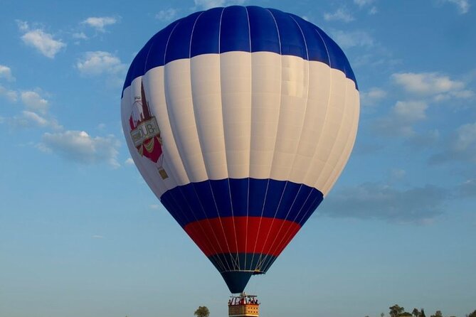 Adventure Hot Air Balloon with Buffet Breakfast & Falcon Show - The falcon show adds more than another photo stop