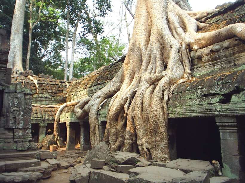 Angkor Wat: Small-Group Tour with Balloon Ride and Lunch - Entering Angkor Thom through the South Gate