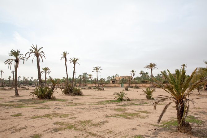 Atlas Mountains Hot Air Balloon Ride from Marrakech with Berber Breakfast and Desert Camel Experience - Is $164.52 a fair price?