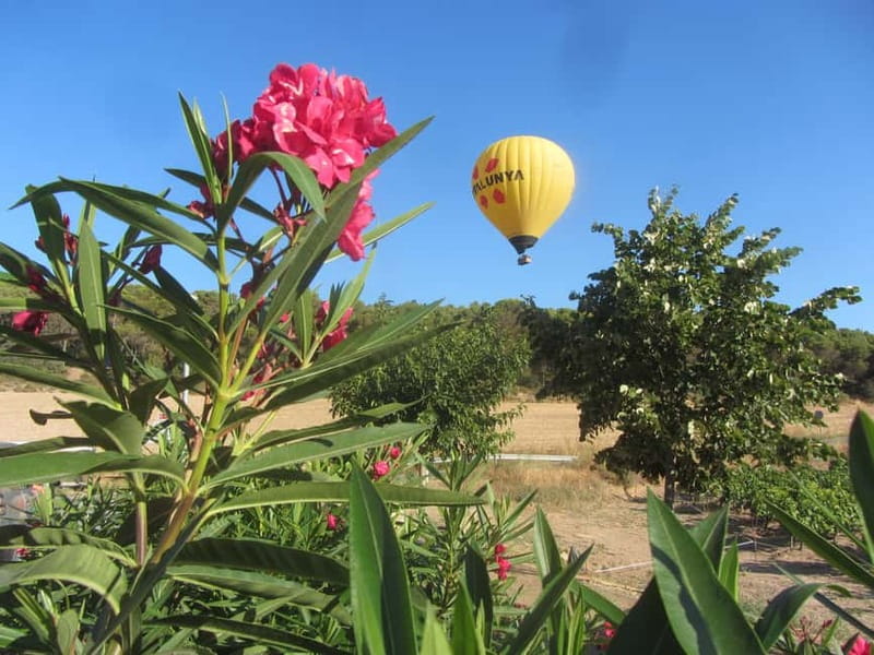 Balloon flight: panoramic view of Montserrat and Transport from Barcelona - Watching the balloon come to life
