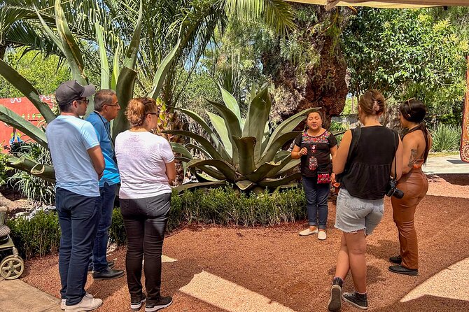Balloon Flight with Teotihuacan & Guadalupe Shrine Full day Tour - Pickup, clothing, and physical demands