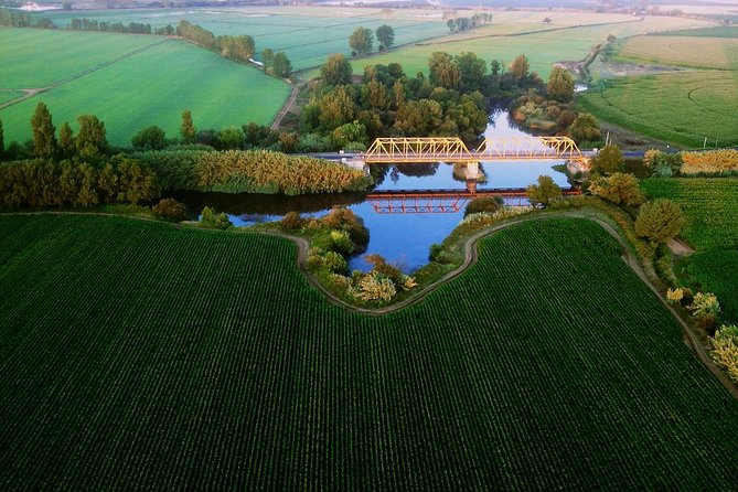 Balloon Ride with Complimentary Drink from Coruche - Landing, Champagne, and the flight certificate