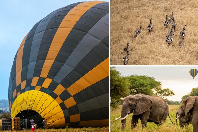Balloon Safari & Bush Breakfast in Tarangire - Miracle Experience - Key points to know before booking