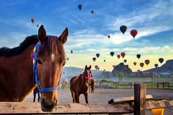 Balloon Watching Tour in Cappadocia with Hotel Pick-Up & Drop-Off - Red Valley for the sunrise colors