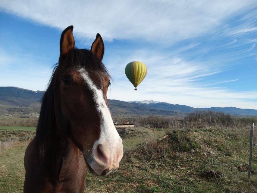 Barcelona: Hot Air Balloon Ride - Who will enjoy this most