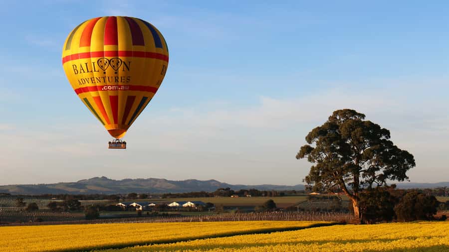 Barossa Valley: Hot Air Balloon Flight - Why sunrise is the right time for a Barossa balloon flight