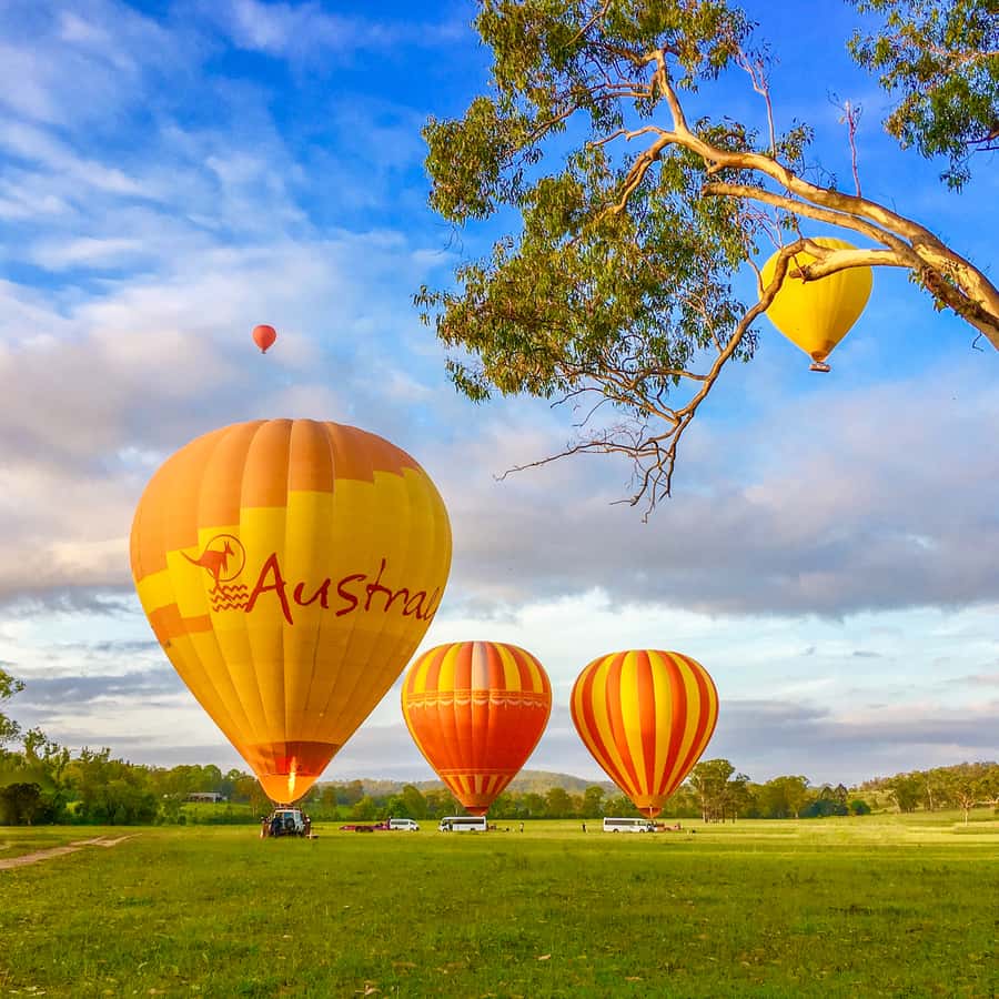 Brisbane: Hot Air Balloon Flight with Vineyard Breakfast - Weather, flexibility, and the morning schedule