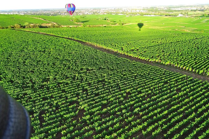 Burgundy Hot-Air Balloon Ride from Beaune - Weather, communication, and practical planning