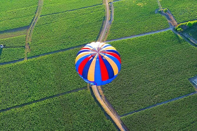 Burgundy Hot-Air Balloon Ride from Beaune - Who will enjoy this Burgundy balloon ride?