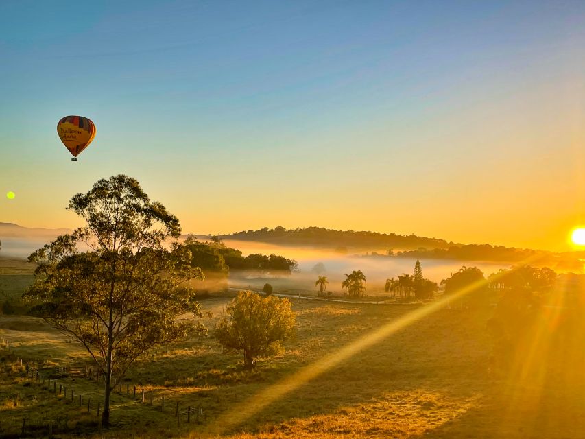 Byron Bay: Sunrise Hot Air Balloon Flight with Breakfast - What the $261 price includes