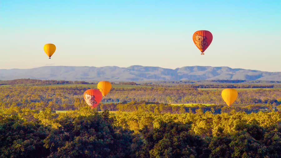 Cairns: Hot Air Balloon Flight with Transfers - Practical tips for a smoother morning