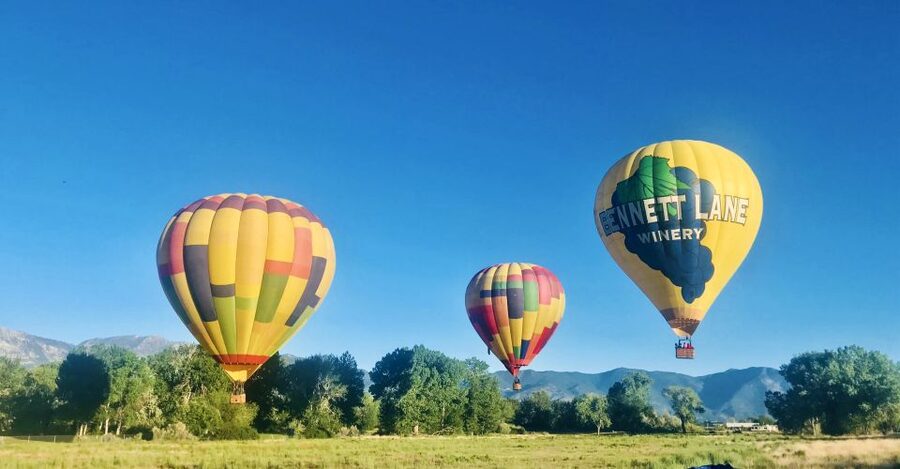 Carson City: Hot Air Balloon Flight - What the three-hour outing involves