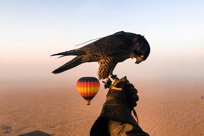 Dubai Desert By Hot Air Balloon With Falcon Show and Camel - What the balloon flight is really like