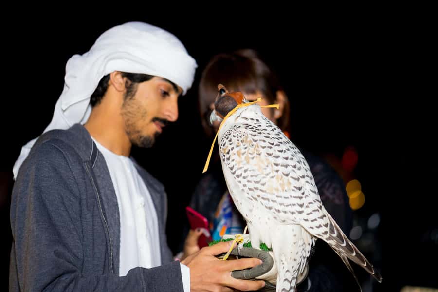 Dubai: Hot Air Balloon, Camel Ride, Desert Safari & More - Who will enjoy this morning most