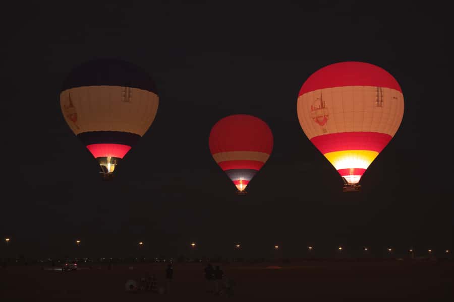 Dubai: Hot Air Balloon Ride & Falcon Show Over the Desert - Wildlife and the Dubai Desert Conservation Reserve
