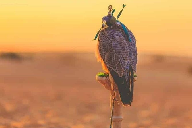 Dubai Hot Air Balloon Sunrise Sightseeing Ride - Why a sunrise balloon ride works so well in Dubai