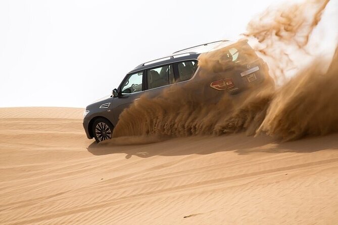 Dubai Hot Air Balloon Tour with Breakfast Camel Ride and Transfer - Group size, comfort, and who will enjoy it