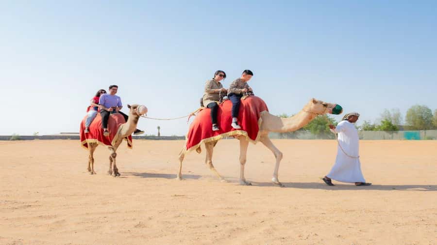 Dubai: Sunrise Hot Air Balloon Flight, Breakfast, Camel Ride - Breakfast at the desert camp