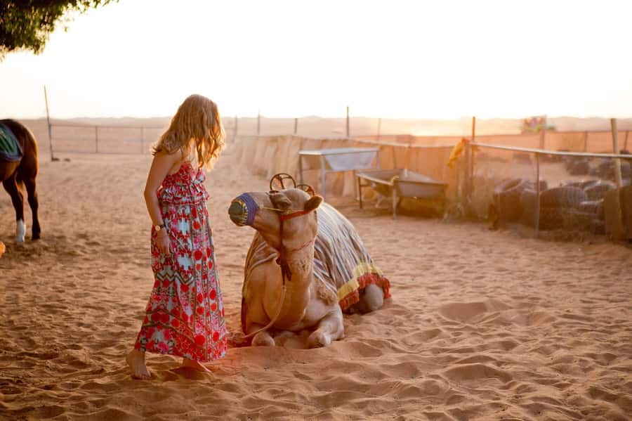 Dubai: Sunrise Hot Air Balloon Tour with E-Certificate - Key points at a glance