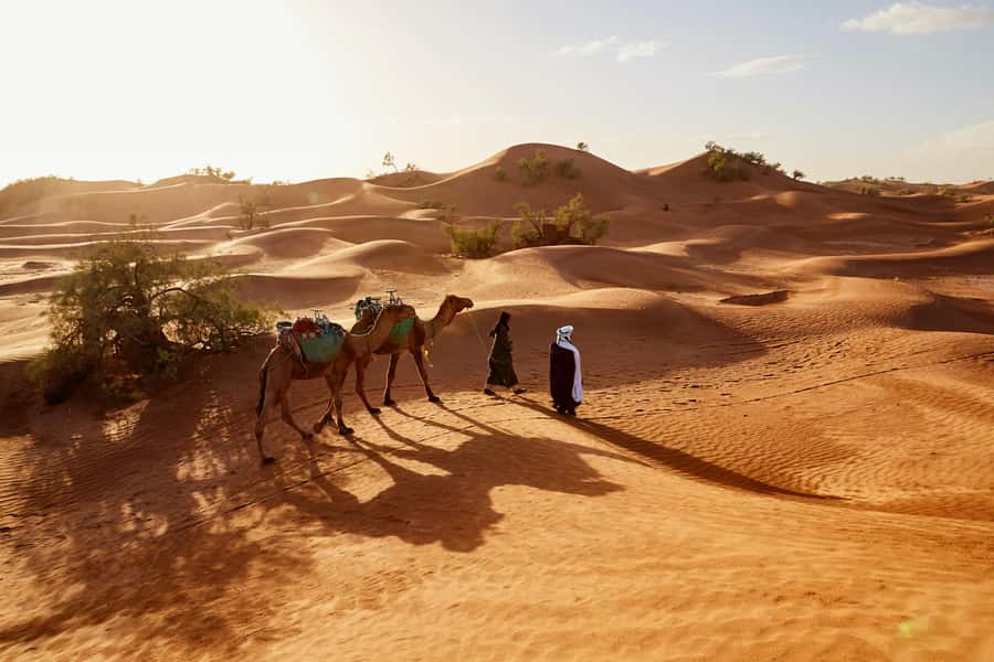 Dubai: Sunrise Hot Air Balloon Tour with E-Certificate - Why the sunrise flight is worth the early alarm