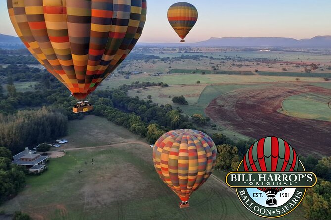 Early Morning Balloon Safari with Breakfast from Magaliesburg - The landing, toast, and return to the clubhouse