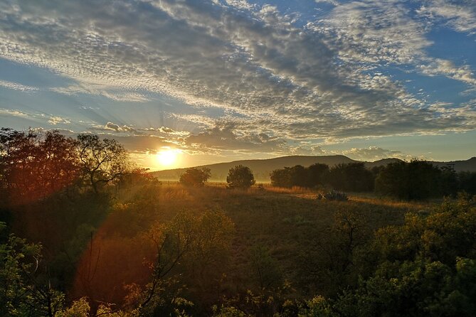 Early Morning Balloon Safari with Breakfast from Magaliesburg - Is $240.41 a fair price?