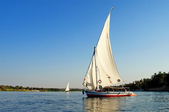 Enjoy 4 nights Nile Cruise Luxor&Aswan&Abu Simbel&Balloon from Cairo by plane - Who should book this experience