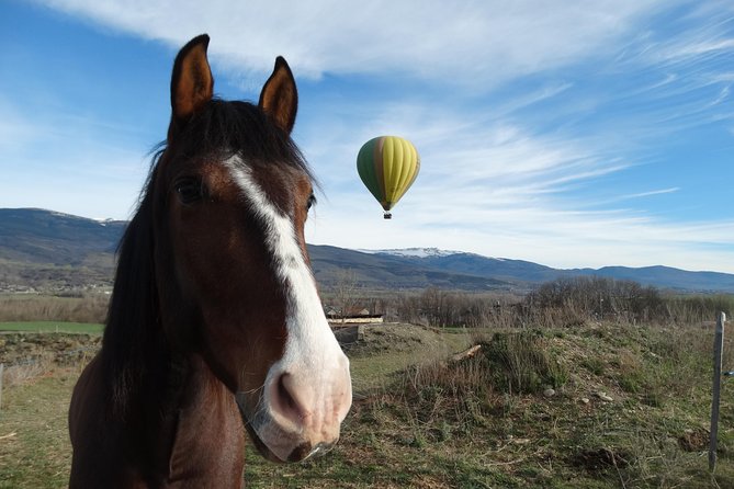 Exclusive Pyrenees Hot Air Balloon Barcelona - What the private flight changes