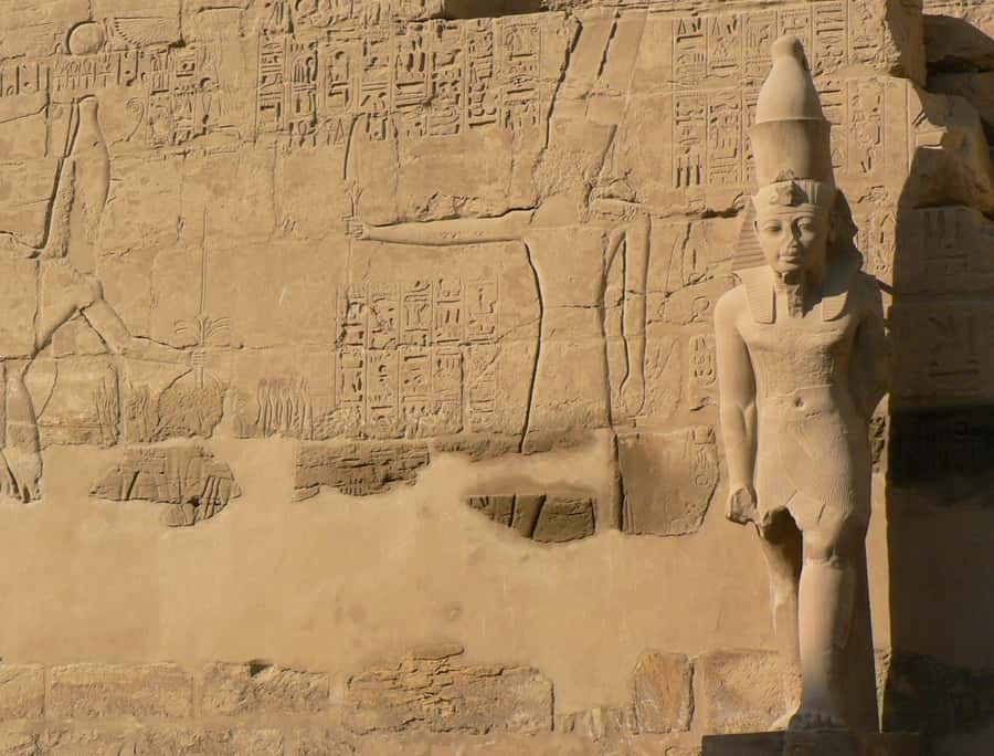 From Cairo: 5-Day Tour with Nile Cruise, Balloon, & Flights - Who should book this trip