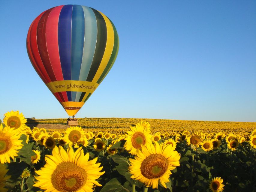 From Madrid: Hot Air Balloon Ride in Segovia with Pickup - Weather can change the entire plan