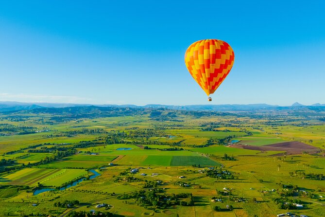 Gold Coast Hot Air Balloon + Winery Breakfast + Return Transfers - Landing, then helping with the balloon
