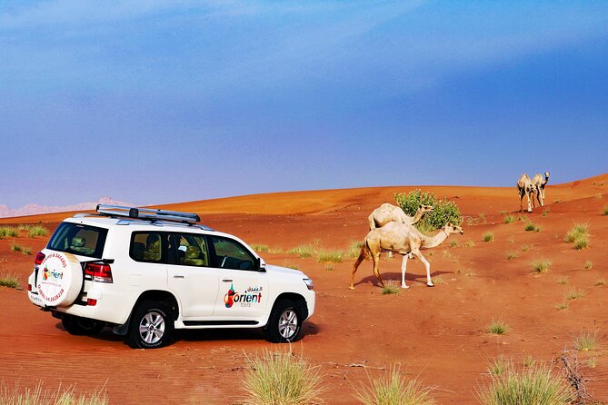 Hot Air Balloon Adventure Ride in Dubai with Hotel Pick up & drop - The 4:00 am pickup and why the timing matters