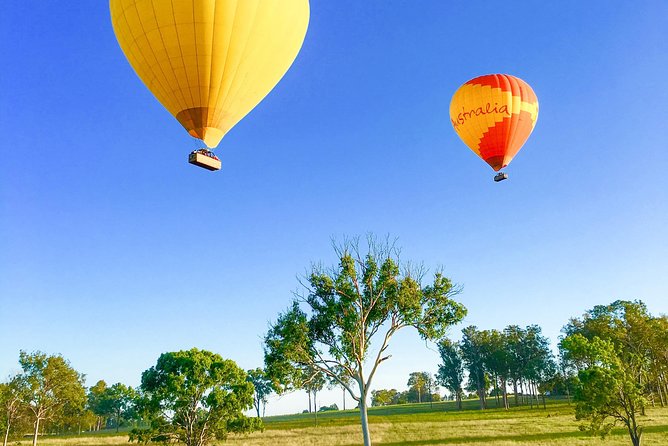 Hot Air Balloon Flight Brisbane with Vineyard Breakfast - Is this balloon flight worth booking?
