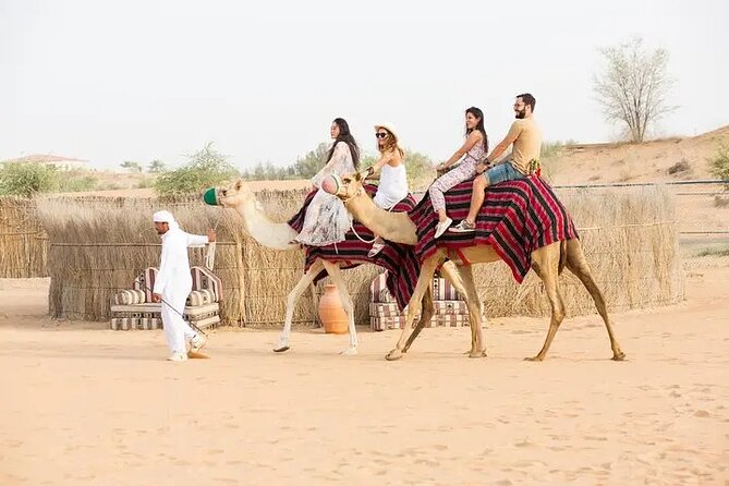 Hot Air Balloon Flight in Dubai with Breakfast, Falconry and Camel Ride - Is the $230 price good value?