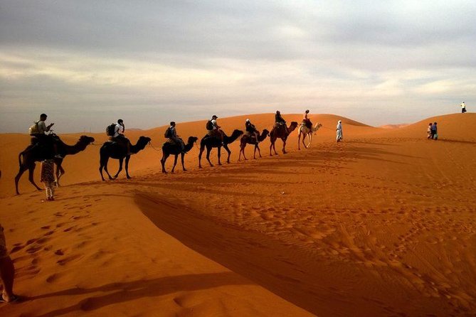 Hot Air Balloon Premium ,Camel Horse Ride,Dune Bashing ,Quad Bike - The 3:00 am start and shared pickup