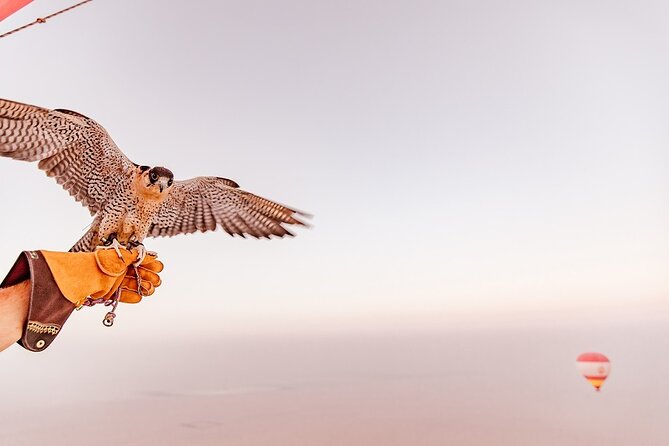 Hot Air Balloon Ride & In-flight Falcon Show including Transfers - The balloon flight over Dubai’s desert