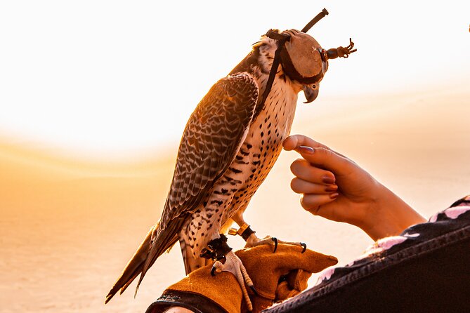 Hot Air Balloon Ride & In-flight Falcon Show including Transfers - Sunrise, scenery, and what you can actually see