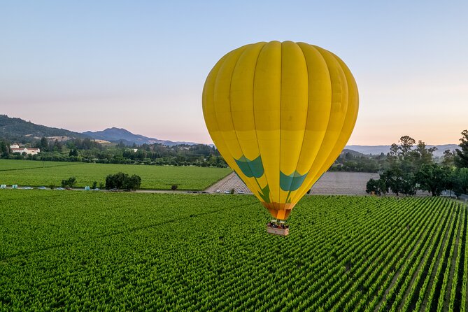 Hot Air Balloon Rides in Napa Valley - Is $315 per person a fair price?