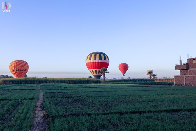 Hot Air Balloon Tour in Luxor - What the Positive Feedback Tells Me