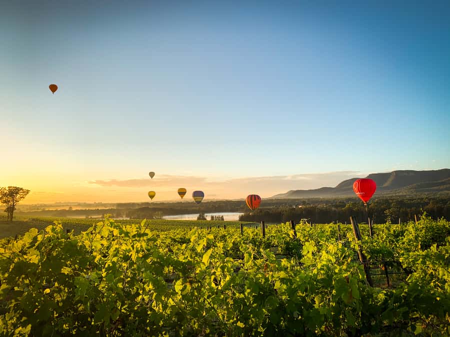 Hunter Valley: Sunrise Balloon Ride with Bubbly Breakfast - Who should skip this experience?